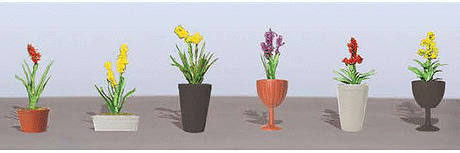 Assorted Potted Flower Plants -- Set #2 pkg(6)