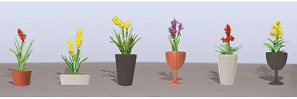 Assorted Potted Flower Plants -- Set #2 pkg(6)