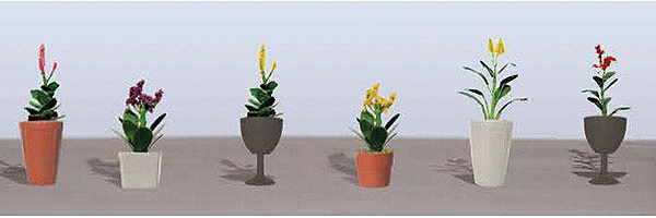 Assorted Potted Flower Plants -- Set #4 pkg(6)