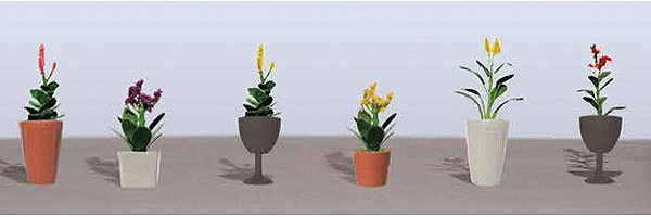 Assorted Potted Flower Plants -- Set #4 pkg(6)