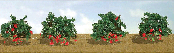 Strawberries -- pkg(8)
