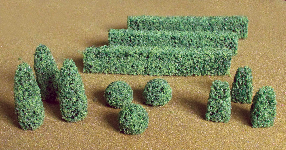 Boxwood Plants -- pkg(20)