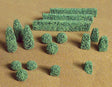 Boxwood Plants -- pkg(15)