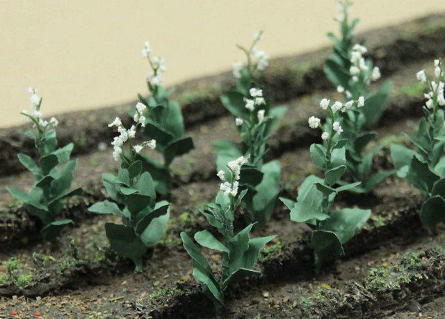 Tobacco Plants -- pkg(16)