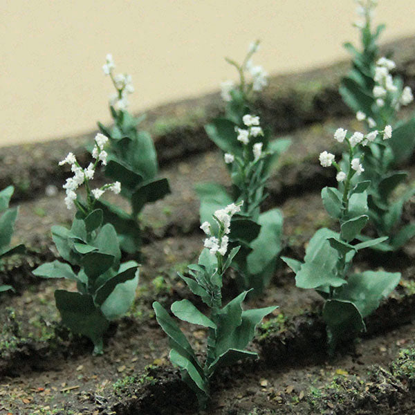 Tobacoo Plants pkg(10)