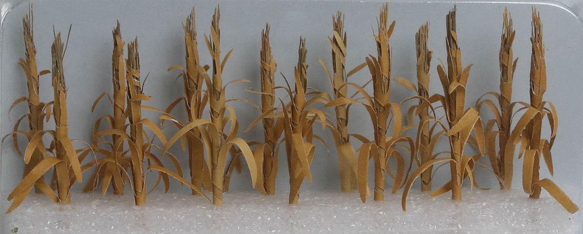 Dried Corn Stalks -- pkg(28)