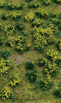 Flowering Meadow Mat - 5 x 7"  12.7 x 17.8cm Sheet -- Yellow