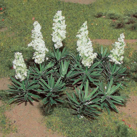 Yucca -- pkg(20)