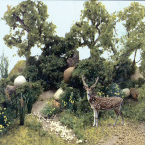 Enchanted Forest - Kit