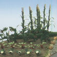 Veggies In Bloom - Kit