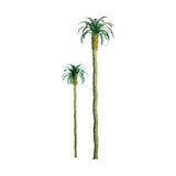 Professional Series Palm Trees -- 8"  22.9cm Tall pkg(2)-2