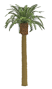 Professional Series Phoenix Palm Tree -- 6"  15.2cm Tall