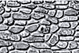 Patterned Plastic Sheet 2-Pack -- Field Stone 7-1/2  x 12"  19.1 x 30.5cm