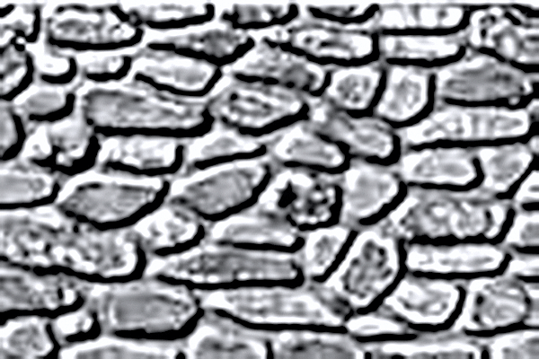 Patterned Plastic Sheet 2-Pack -- Field Stone 7-1/2  x 12"  19.1 x 30.5cm