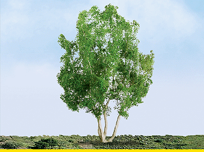 Snow Gum Tree -- 2-1/2" pkg(3)