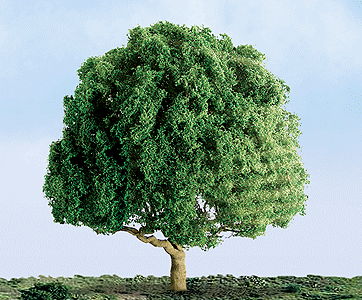 Oak Tree -- 2" pkg(3)