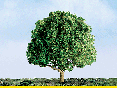 Oak Tree -- 2-1/2" pkg(2)