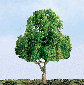 Deciduous Tree -- 1-1/2" pkg(4)