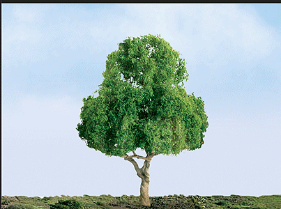 Deciduous Tree -- 3" pkg(2)