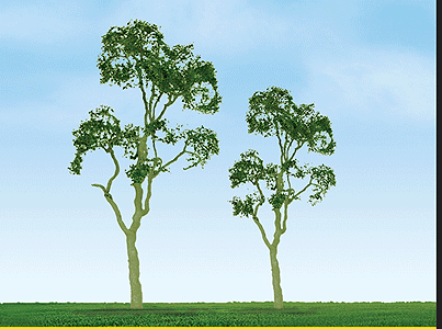 Gum Tree -- 4" pkg(2)