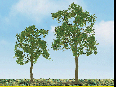 Ash Tree -- 3" pkg(2)
