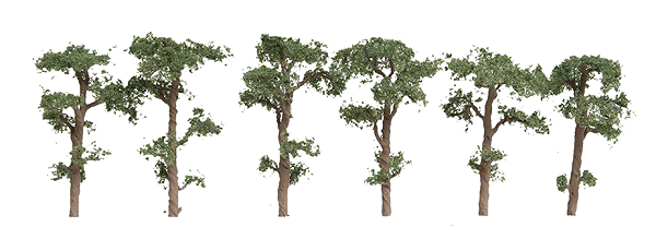 Scots Pine Tree -- 1-1/2" pkg(6)