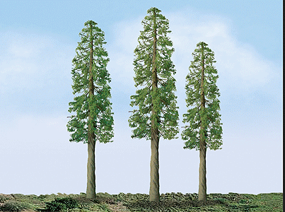 Redwood Tree -- 6"