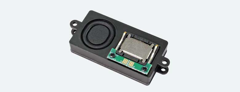 Rectangular Speaker with Enclosure -- 8 Ohm, 7/8 x 1-21/32 x 5/16"  22 x 42 x 8mm