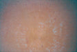 Plastic Sheet -- Brick (yellow)
