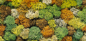 Lichen -- Large Mixed