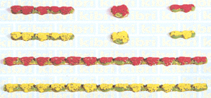 Assorted Flowers & Window Boxes