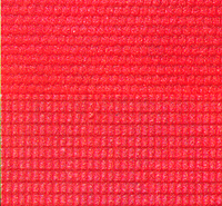 Plastic Sheet -- Tile Roofing