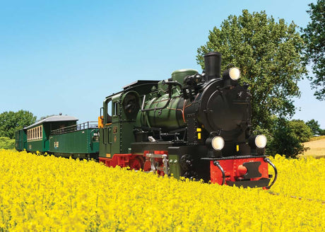 Class 53 Mh 0-8-0T - Sound and DCC -- Rugensche Baderbahn RuBB #99 4633 (Era VI, green, black, red)-3