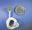 16V "Round" Bulbs -- Yellow