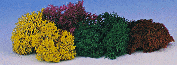 Lichen -- Mixed