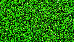 Grass Mat -- 50 x 99"