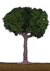 Green Shade Trees -- 4"  10.1cm pkg(4)