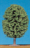 Trees -- 3-4" Summer Shade pkg(4)