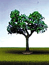 SceneMaster(TM) Trees w/Bendable Armatures -- Medium Elm
