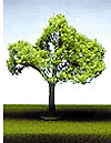 SceneMaster(TM) Trees w/Bendable Armatures -- Medium Maple