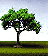 SceneMaster(TM) Trees w/Bendable Armatures -- Medium Oak