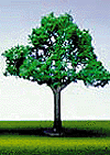 SceneMaster(TM) Trees w/Bendable Armatures -- Large Oak