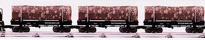 Skeleton Log Car WM