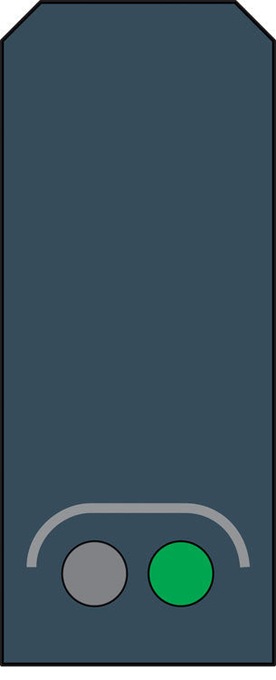 Color Light Block w/Distant Signal-2