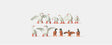 Geese and Ducks on Land -- 8 Geese, 4 Ducks