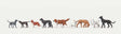 Dogs -- pkg(9)