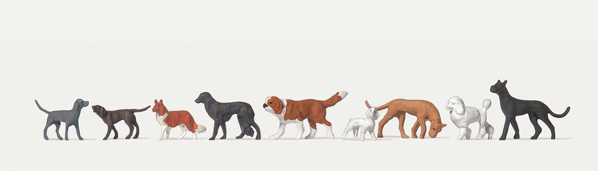 Dogs -- pkg(9)