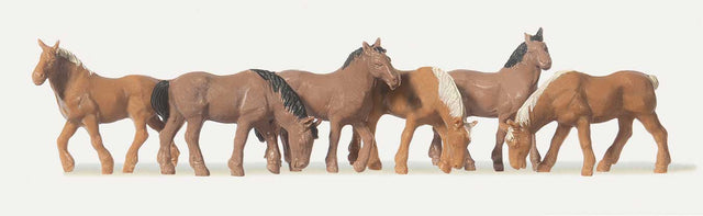 Horses - Economy Series -- pkg(6)