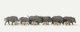 Wild Pigs/Boar - Economy Series -- pkg(12)