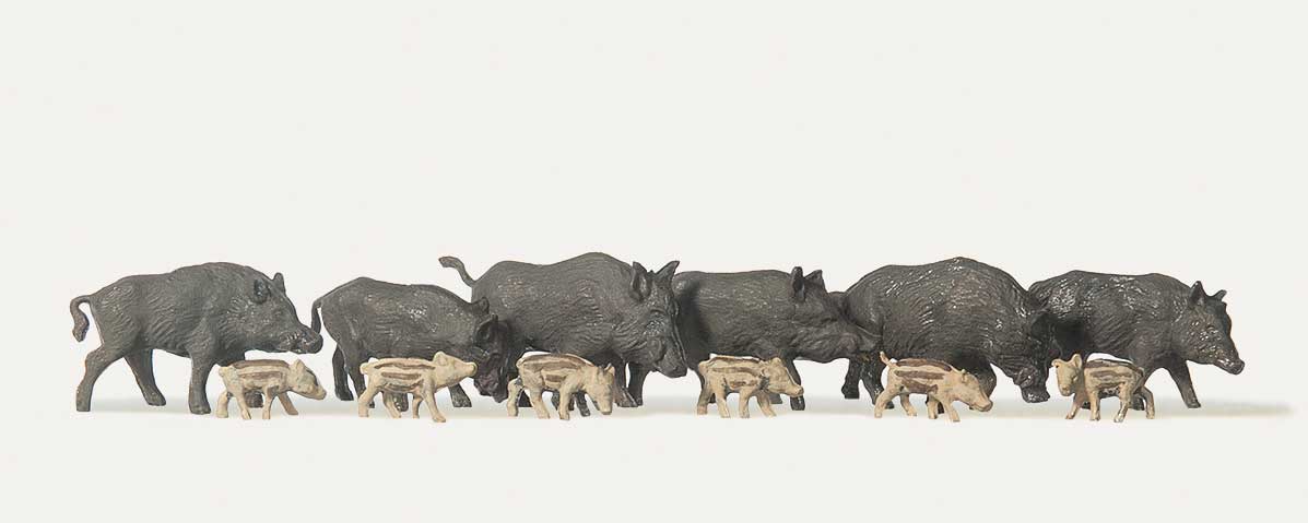 Wild Pigs/Boar - Economy Series -- pkg(12)